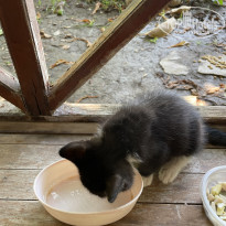 фото из отзыва ID 2703322