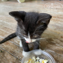 фото из отзыва ID 2703322