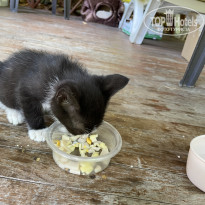 фото из отзыва ID 2703322