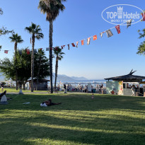 фото из отзыва ID 2703322