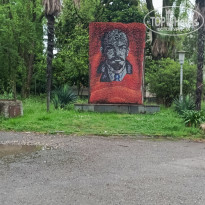 фото из отзыва ID 2703349