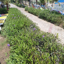 фото из отзыва ID 2703353