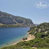 фото из отзыва ID 2703369