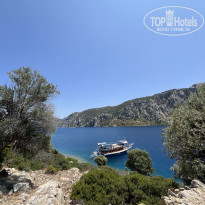 фото из отзыва ID 2703369