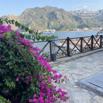 фото из отзыва ID 2703369