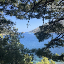 фото из отзыва ID 2703369