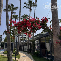 фото из отзыва ID 2703365