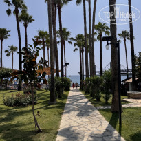 фото из отзыва ID 2703365