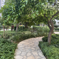 фото из отзыва ID 2703365