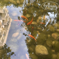 фото из отзыва ID 2703365