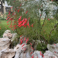 фото из отзыва ID 2703365