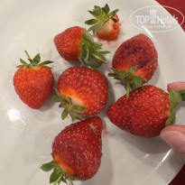 фото из отзыва ID 2703365