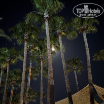 фото из отзыва ID 2703365