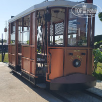 фото из отзыва ID 2703407