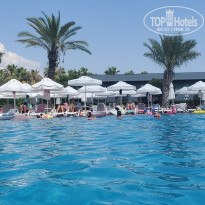 фото из отзыва ID 2703407