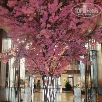 фото из отзыва ID 2703407