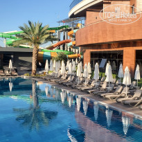 фото из отзыва ID 2703407