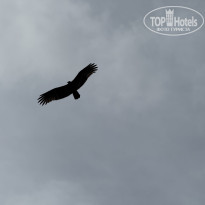 фото из отзыва ID 2703458