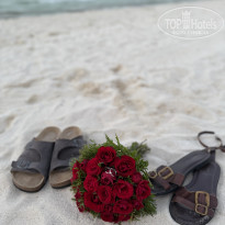 фото из отзыва ID 2703458