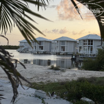 фото из отзыва ID 2703458