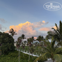 фото из отзыва ID 2703458