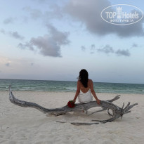 фото из отзыва ID 2703461