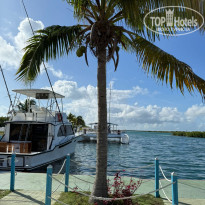 фото из отзыва ID 2703461