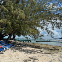 фото из отзыва ID 2703461