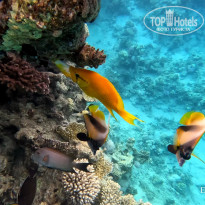 фото из отзыва ID 2702440