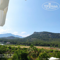 фото из отзыва ID 2703494