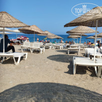 фото из отзыва ID 2703494