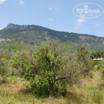 фото из отзыва ID 2703494