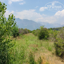 фото из отзыва ID 2703494