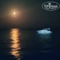 фото из отзыва ID 2703522