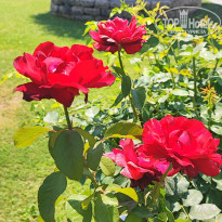 фото из отзыва ID 2703522