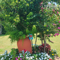 фото из отзыва ID 2703522