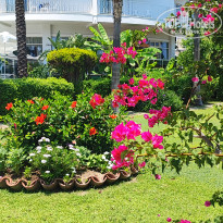 фото из отзыва ID 2703522