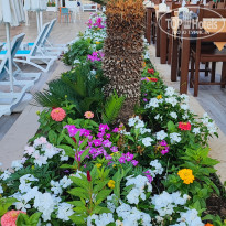 фото из отзыва ID 2703522