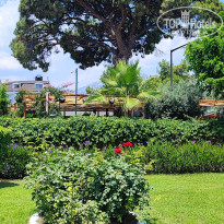 фото из отзыва ID 2703522