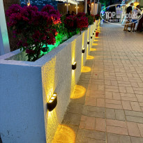 фото из отзыва ID 2703541