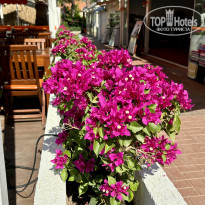 фото из отзыва ID 2703541