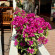 фото из отзыва ID 2703541