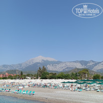 фото из отзыва ID 2703543