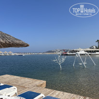 фото из отзыва ID 2703553