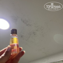 фото из отзыва ID 2703553