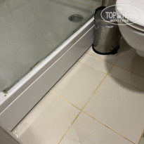 фото из отзыва ID 2703553