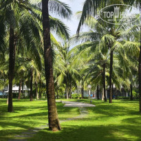 фото из отзыва ID 2703602