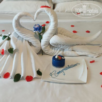 фото из отзыва ID 2703602