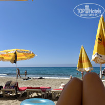 фото из отзыва ID 2703597