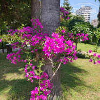 фото из отзыва ID 2703609
